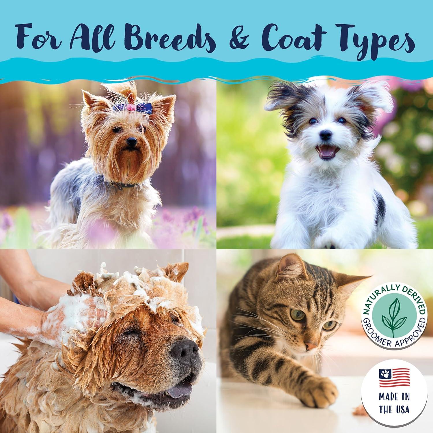 image:imageBobbi Panter Moisture amp Shine Dog Shampoo Argan Oil Chamomile amp Peppermint Deep Nourishing Natural Formula for Soft Shiny Coat TearFree 201 Concentrate 1 Gallon Case of 4Crisp Fresh