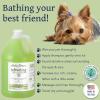 Bobbi Panter Hypoallergenic Dog Shampoo Honey, Aloe Vera, Chamomile & Rosemary – Dye & Fragrance Free Natural Formula for Sensitive & Allergy Skin, Tear-Free, 30:1 Concentrate, 1 Gallon (Case of 4)(Eucalyptus Mint)