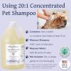 Bobbi Panter Hypoallergenic Dog Shampoo Honey, Aloe Vera, Chamomile & Rosemary – Dye & Fragrance Free Natural Formula for Sensitive & Allergy Skin, Tear-Free, 30:1 Concentrate, 1 Gallon (Case of 4)(Unscented)