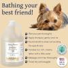 Bobbi Panter Hypoallergenic Dog Shampoo Honey, Aloe Vera, Chamomile & Rosemary – Dye & Fragrance Free Natural Formula for Sensitive & Allergy Skin, Tear-Free, 30:1 Concentrate, 1 Gallon (Case of 4)(Milk & Honey)