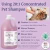 Bobbi Panter Hypoallergenic Dog Shampoo Honey, Aloe Vera, Chamomile & Rosemary – Dye & Fragrance Free Natural Formula for Sensitive & Allergy Skin, Tear-Free, 30:1 Concentrate, 1 Gallon (Case of 4)(Lavender)