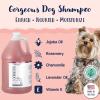 Bobbi Panter Moisture & Shine Dog Shampoo Argan Oil, Chamomile & Peppermint – Deep Nourishing Natural Formula for Soft, Shiny Coat, Tear-Free, 20:1 Concentrate, 1 Gallon (Case of 4)(Peach)
