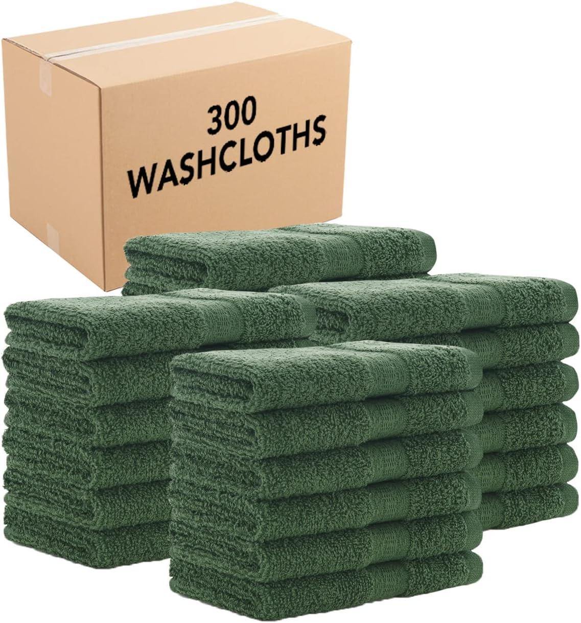 image:imageArkwright True Color Solid Wash Cloths Soft 100 Cotton Washcloths 12 Pack Lightweight 475 GSM Absorbent amp Quick Dry for Face and Body 12 x 12 in BeigeGreen