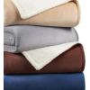 Arkwright Sherpa Fleece Throw Blanket – Plush Fluffy Warm Reversible Soft Sherpa Throw Blanket for Home, Couch, Sofa, Bed, Camping and Travel, 50×60 in, Grey(Alloy Grey)