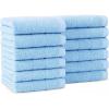 Arkwright Premium Washcloths – (Pack of 24) – Soft & Absorbent, 100% Ringspun Cotton, Contemporary Design Wash Cloths with Dobby, Multipurpose Fingertip Towels, Beige(Blue)