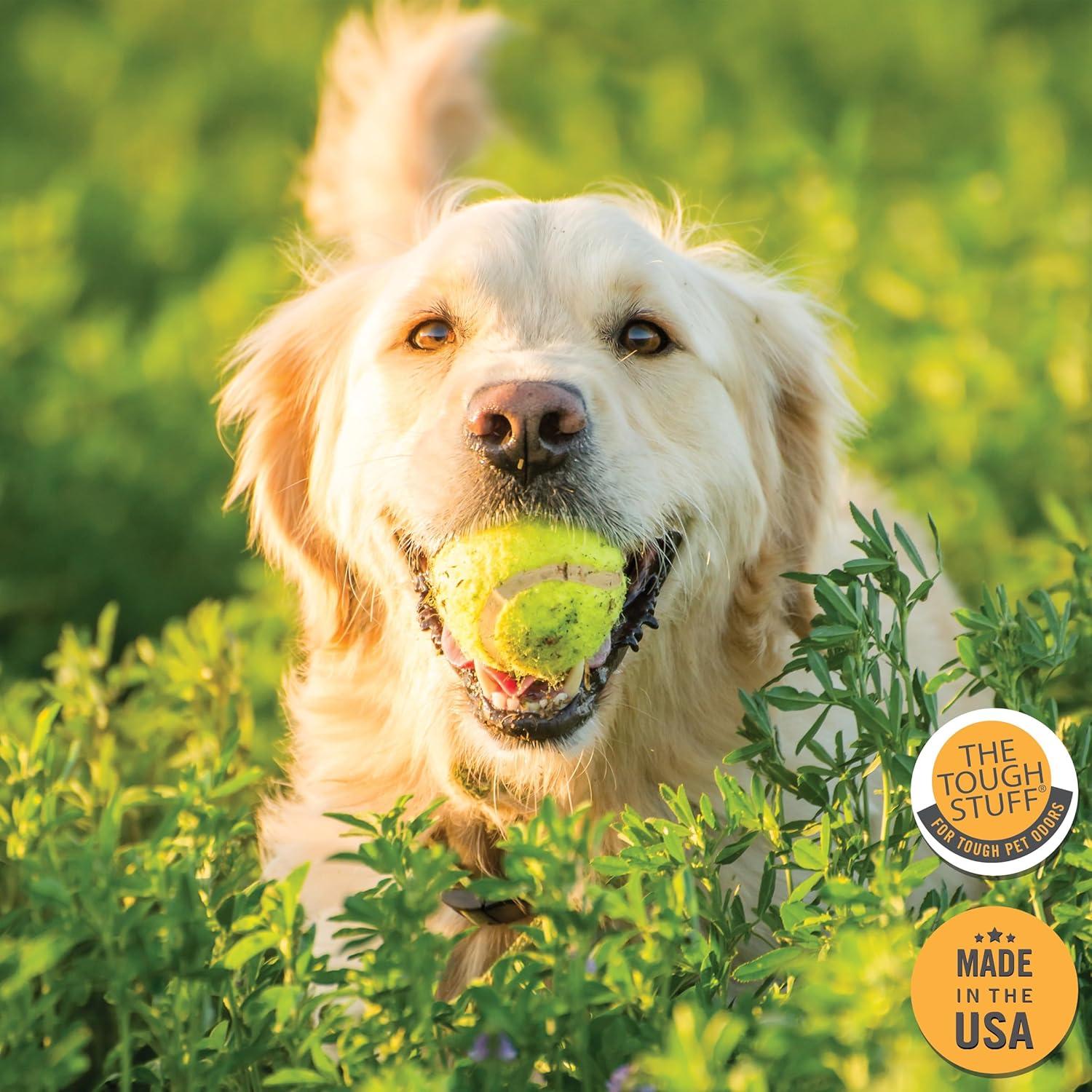 image:imageArkwright Tough Stuff Kennel and Turf Wash AllPurpose Cleaner Concentrate Instantly Removes Pet Odors Hose Attachment for Easy Dilution Safe for Pets amp Turf 1 Gallon Refill1 Gallon Pack of 1