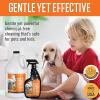 Arkwright Tough Stuff Oxy-Force Spot Remover – Pet Odor and Stains Cleaner for Tough Spots, Hard Surfaces, Carpets and More, Safely Removes with Hydrogen Peroxide Power, 1 Gallon Refill(1 Gallon (Pack of 1))