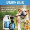 Arkwright Tough Stuff Urine Odor & Stain Eliminator Spray – Pet Safe Enzyme-Based Non-Toxic Cleaner for Floors, Carpets, and Furniture, 32 Fl. Oz. Spray Bottle, Fresh Scent
