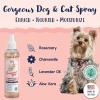 Bobbi Panter Gorgeous Dry Dog & Cat Waterless Shampoo Spray – Paraben-Free, Salt-Free, Tear-Free – Soothing Aloe Vera & Vitamin E – 8 oz Waterless Pet Shampoo for Grooming, Odor Control
