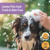 Natural Touch Skunked! Deodorizing Conditioner for Dogs & Cats