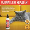Nilodor Arkwright Tough Stuff Cat Repellent Spray – Natural Formula Discourages Scratching, Chewing & Biting, Safe for Kittens & Cats, Effective Training Aid, Made in The USA, 8 fl. oz. Spray